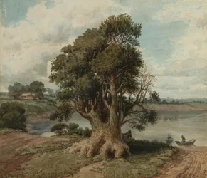 Paysage de la côte (San Isidro)